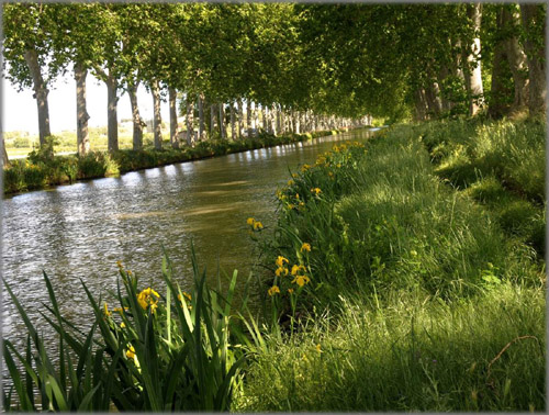 canal du midi countryside